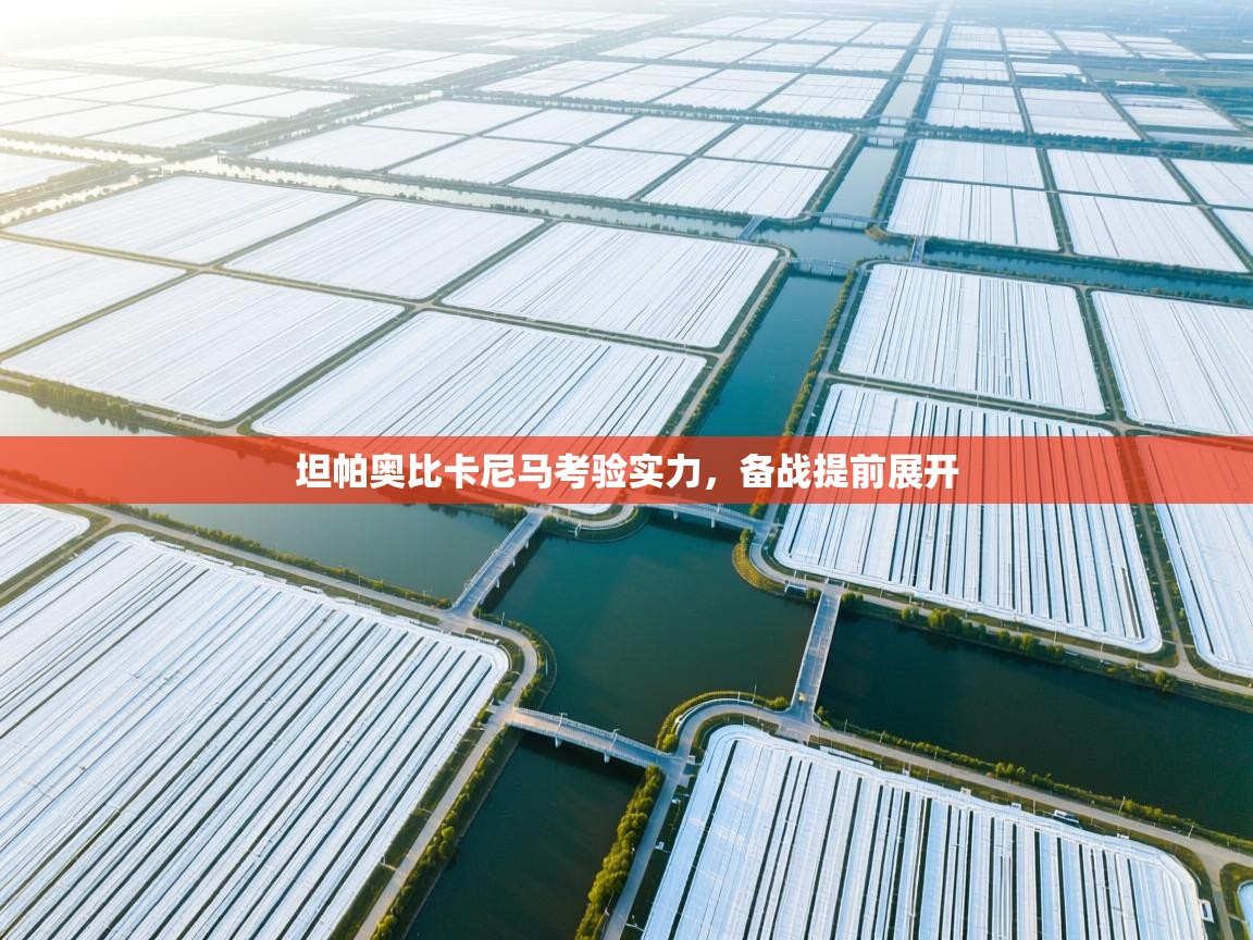 坦帕奥比卡尼马考验实力，备战提前展开