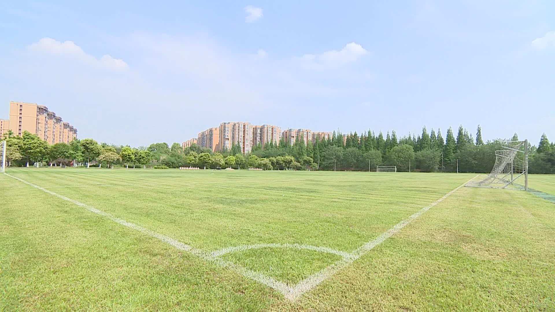 星空体育入口官网-包含成都谢菲联足球队新援展现实力的词条